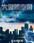 大夏镇北王
