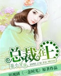 总裁在上小说免费
