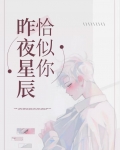 昨夜星辰恰似你by观山雪免费阅读
