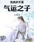 我真的不是气运之子漫画完结了吗